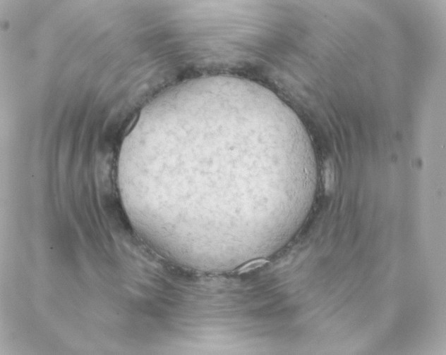 X0000088221059200706051317