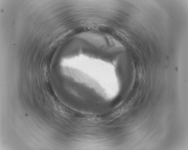 X0000088221060200706051317