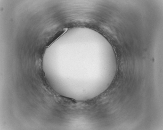 X0000088221061200706051317