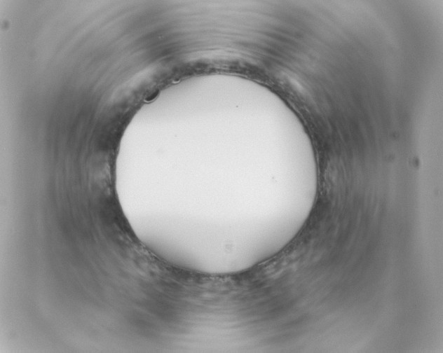 X0000088221062200706051317