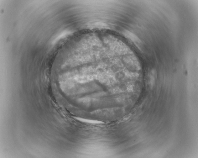 X0000088221063200706051317