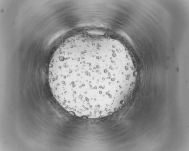 X0000088221064200706051317