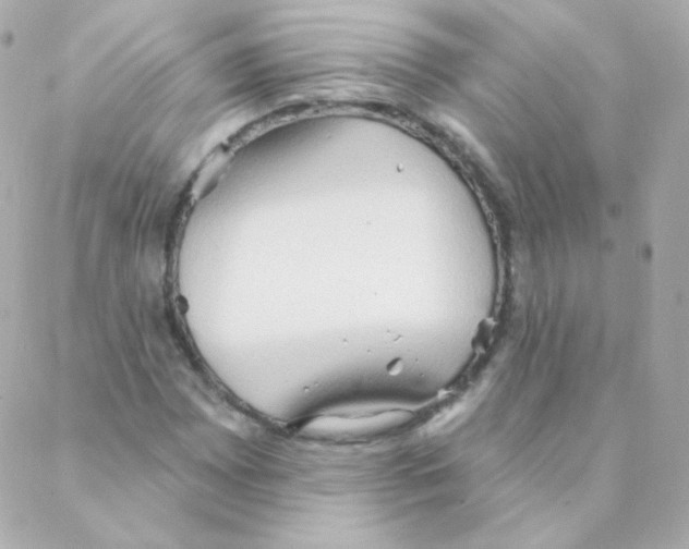 X0000088221065200706051317