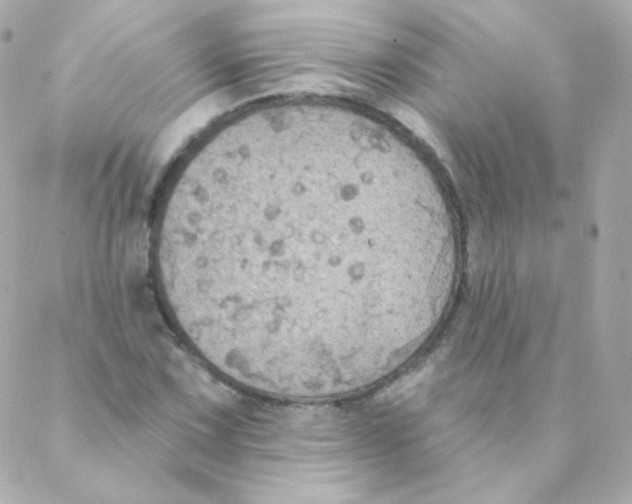 X0000088221067200706051317