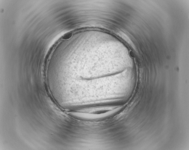 X0000088221068200706051317