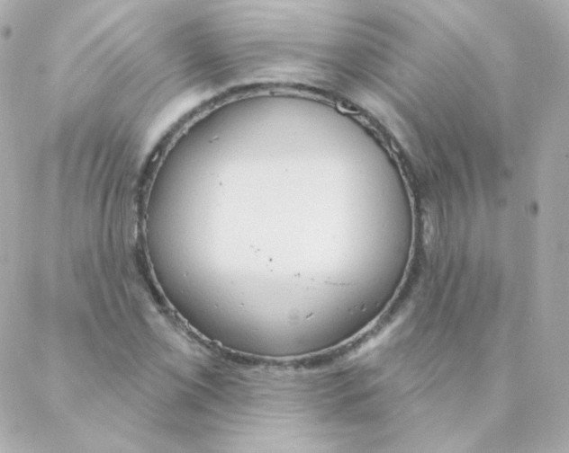 X0000088221069200706051317