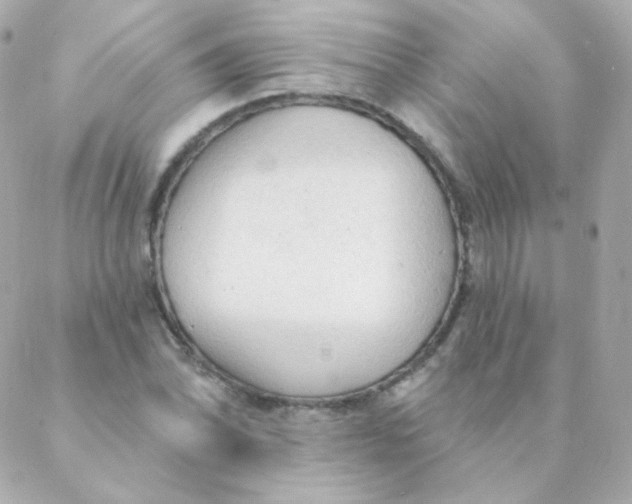 X0000088221070200706051317