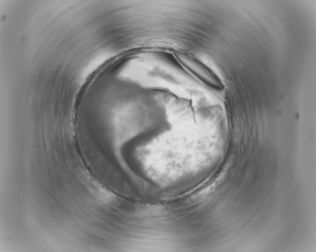 X0000088221071200706051317