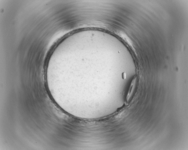 X0000088221072200706051317