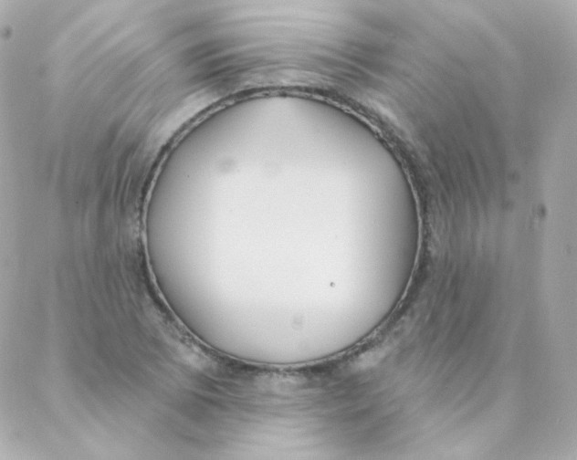 X0000088221073200706051317