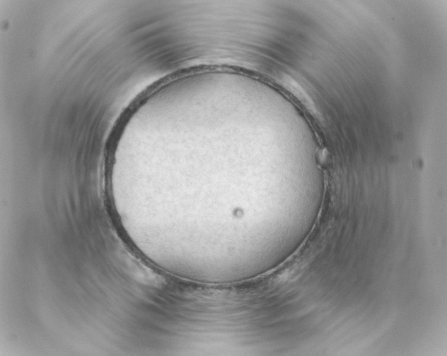 X0000088221076200706051317