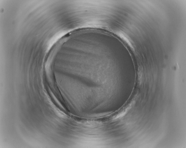 X0000088221077200706051317