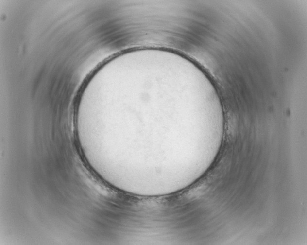 X0000088221078200706051316