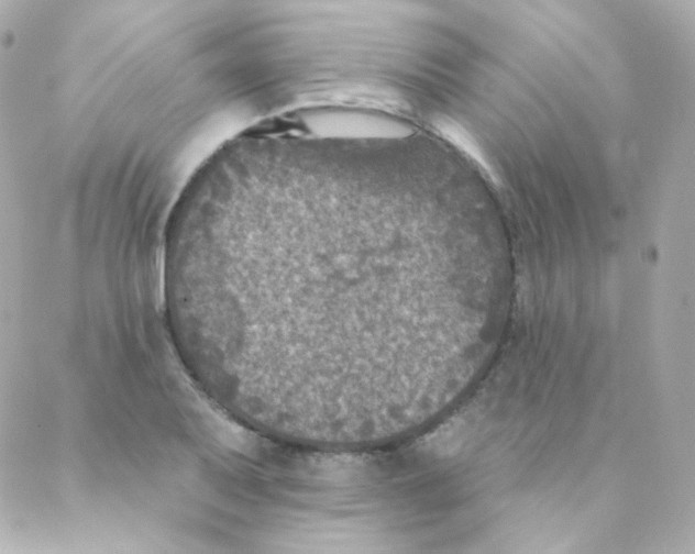 X0000088221079200706051316