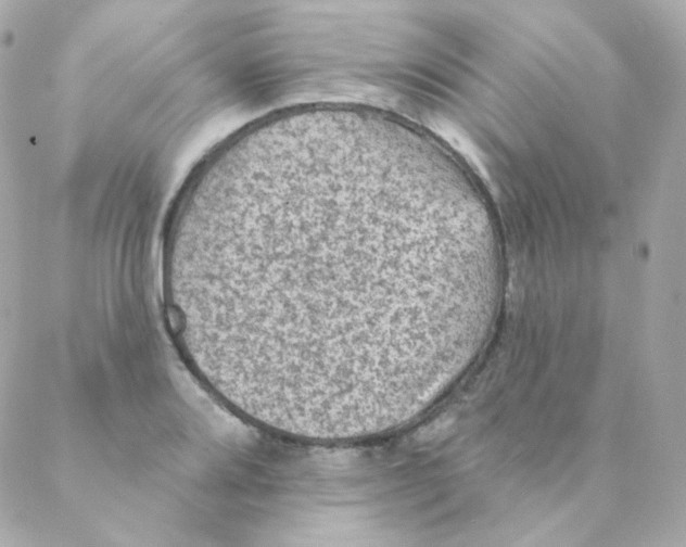 X0000088221080200706051316