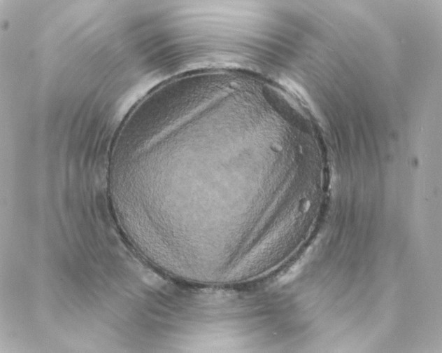 X0000088221081200706051316