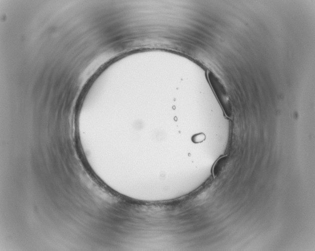 X0000088221082200706051316