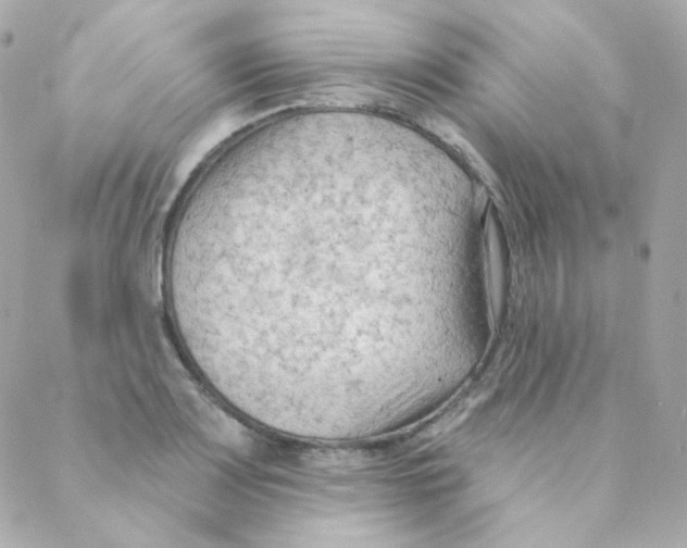 X0000088221083200706051316