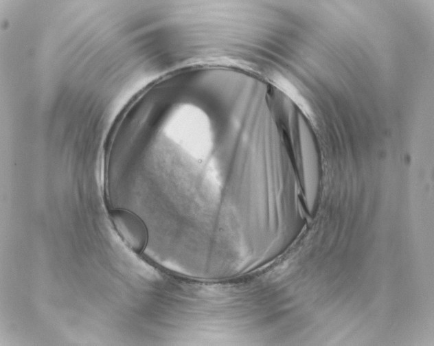 X0000088221084200706051316