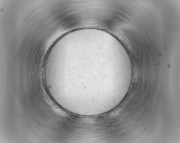 X0000088221086200706051316