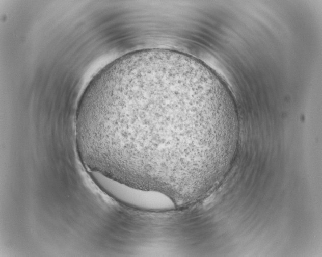 X0000088221088200706051316