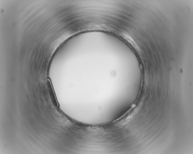 X0000088221089200706051316