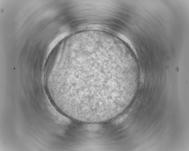 X0000088221090200706051316