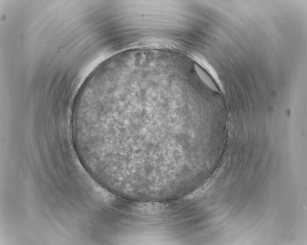 X0000088221091200706051316