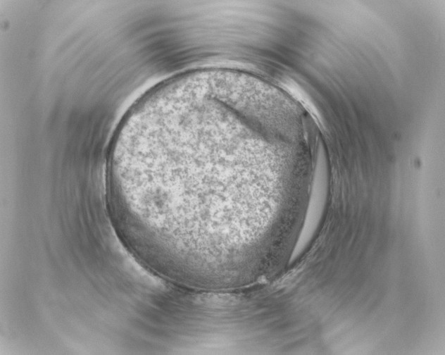 X0000088221092200706051316