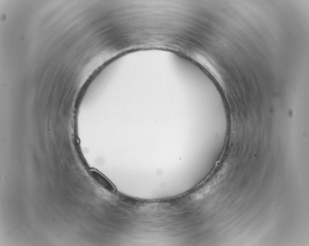 X0000088221093200706051316