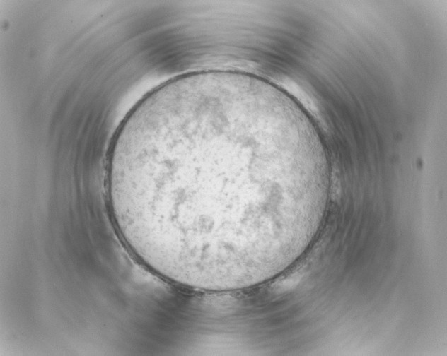 X0000088221094200706051316