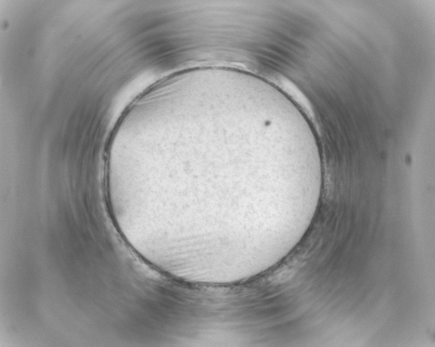 X0000088221096200706051316