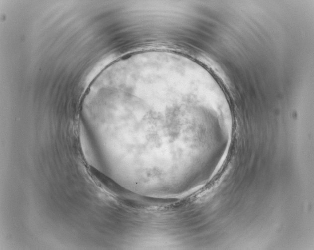 X0000088221097200706051316