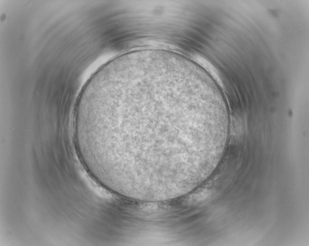 X0000088221098200706051316