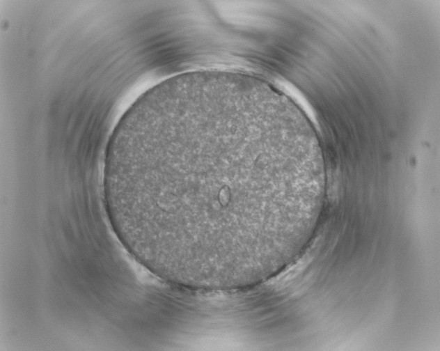 X0000088221099200706051316