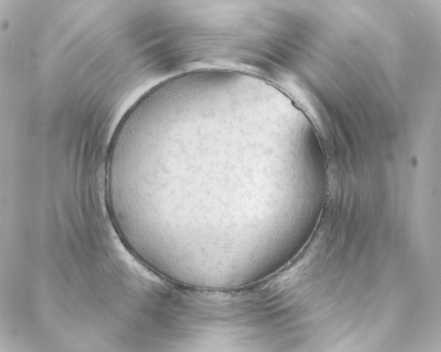 X0000088221100200706051316