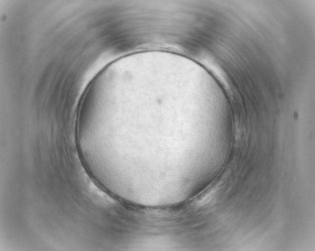 X0000088221102200706051316