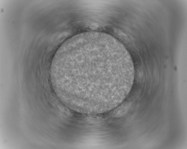 X0000088221105200706051315