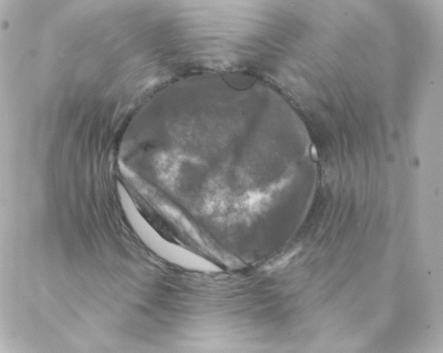 X0000088221106200706051315