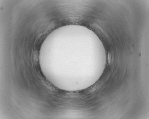 X0000088221107200706051315