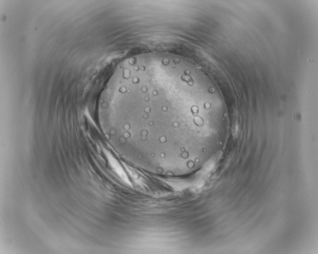 X0000088221108200706051315