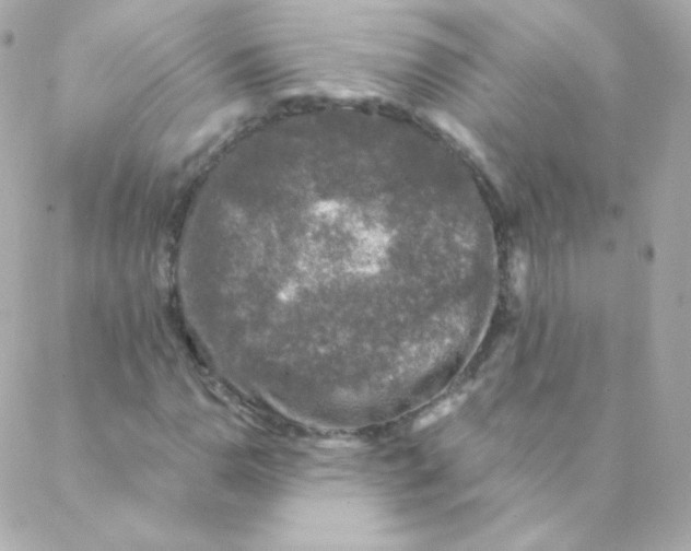 X0000088221110200706051315