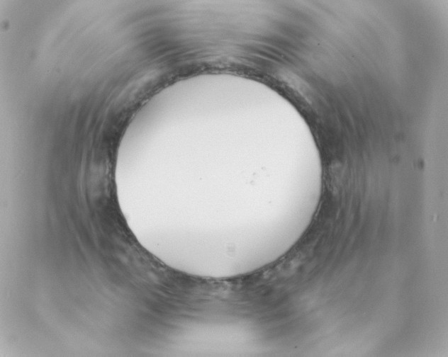 X0000088221111200706051315