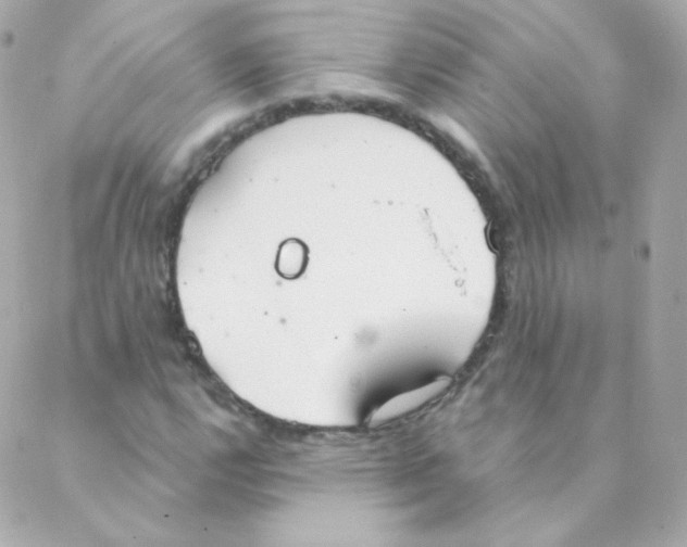 X0000088221112200706051315