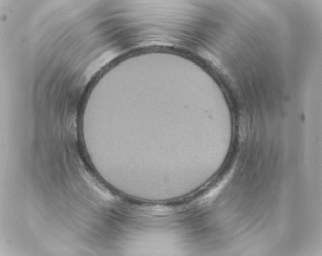 X0000088221113200706051315