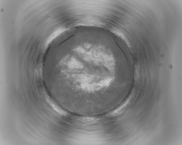 X0000088221114200706051315