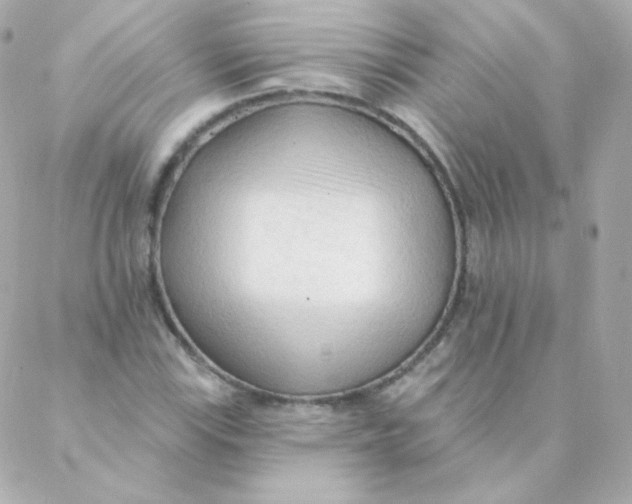 X0000088221115200706051315