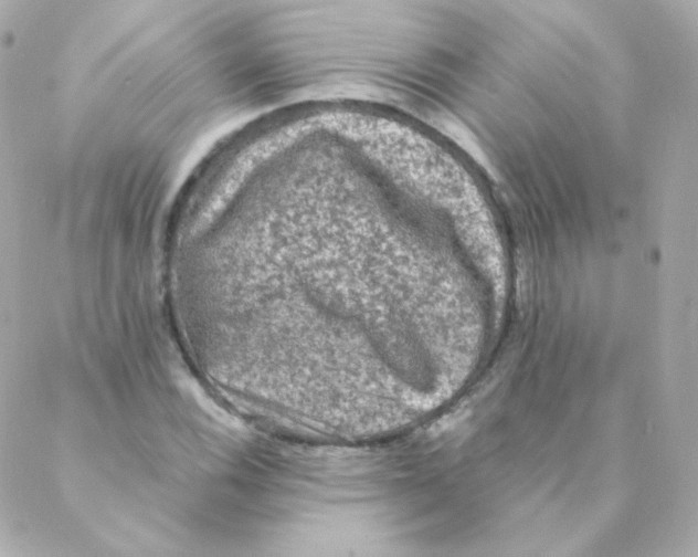 X0000088221116200706051315