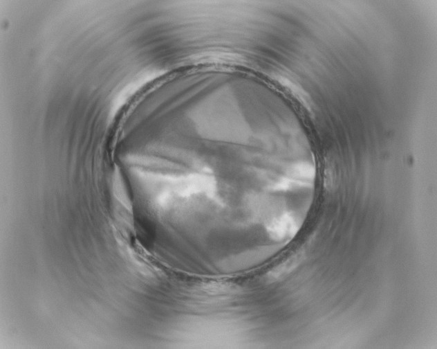 X0000088221117200706051315