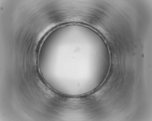 X0000088221118200706051315